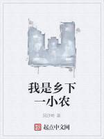 我是乡下一小农