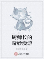 厨师长的奇妙漫游