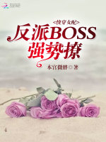 快穿女配：反派BOSS，强势撩